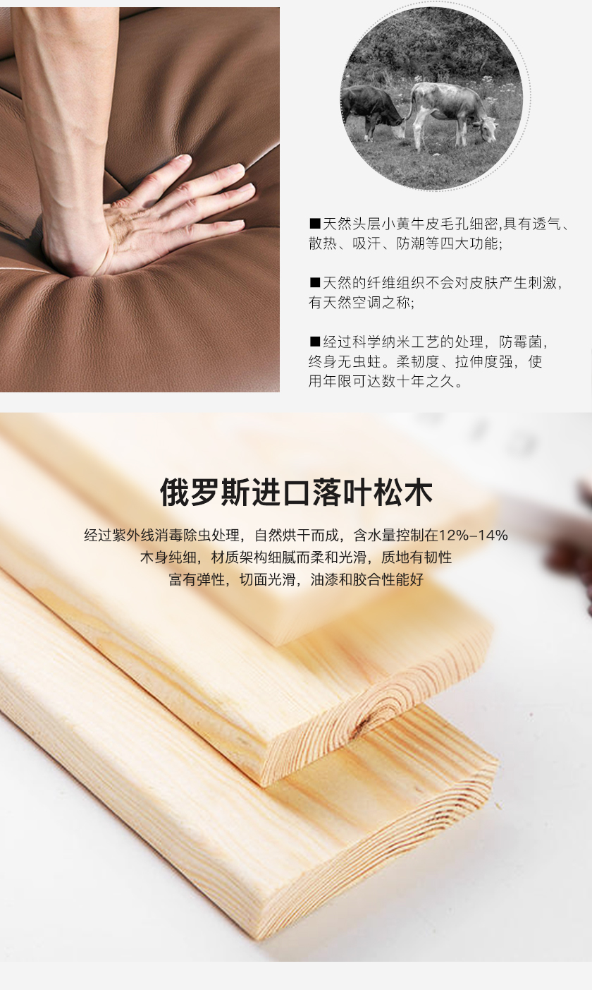 现代简约床JY-9053