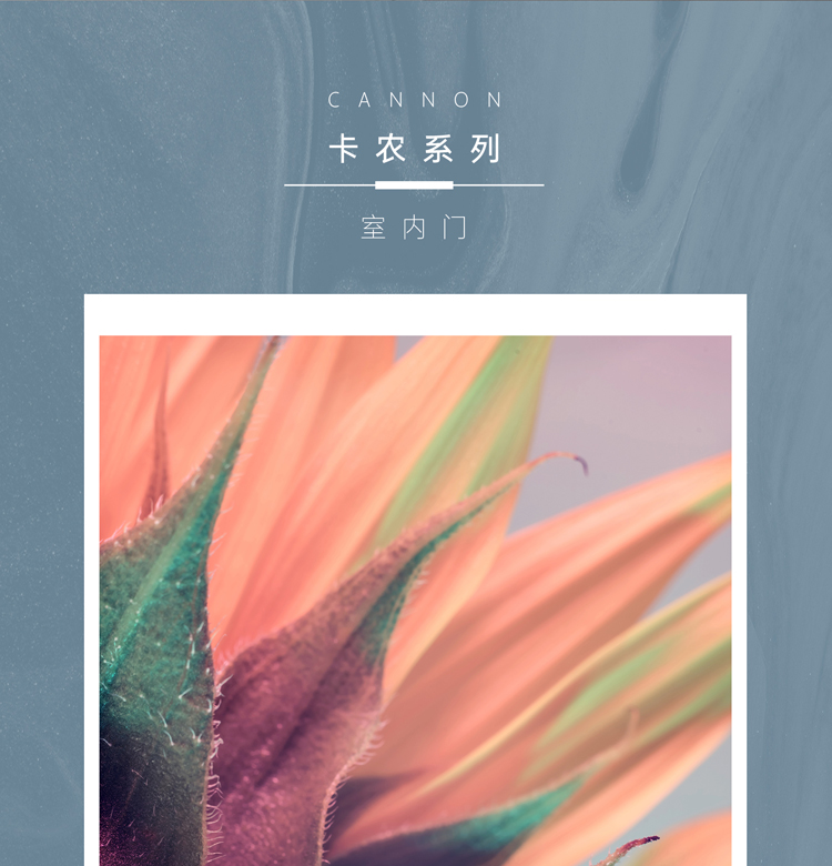 简一卡农系列木门