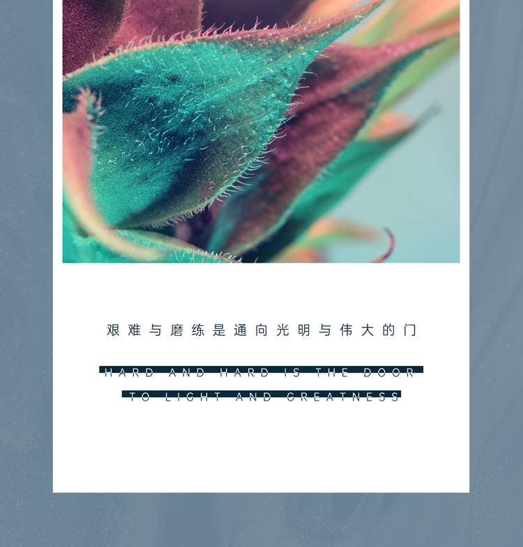 简一卡农系列木门